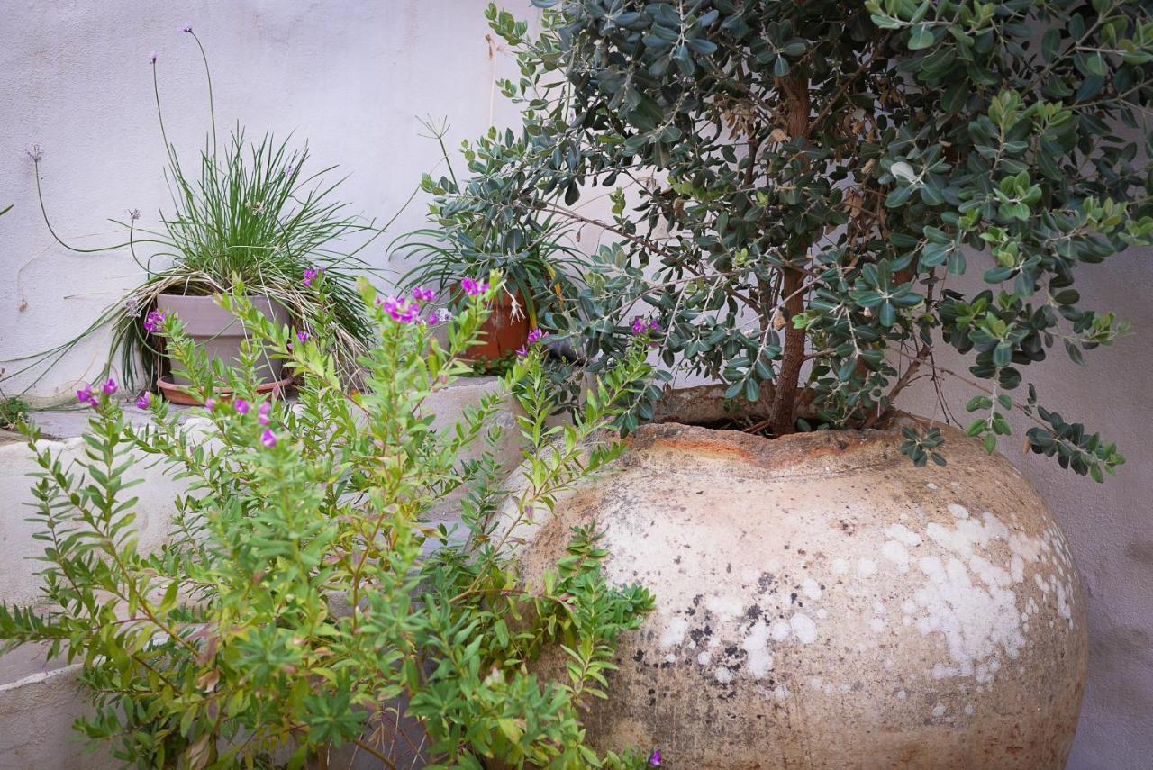 Apartamento La Pileta Vejer de la Frontera Exterior foto